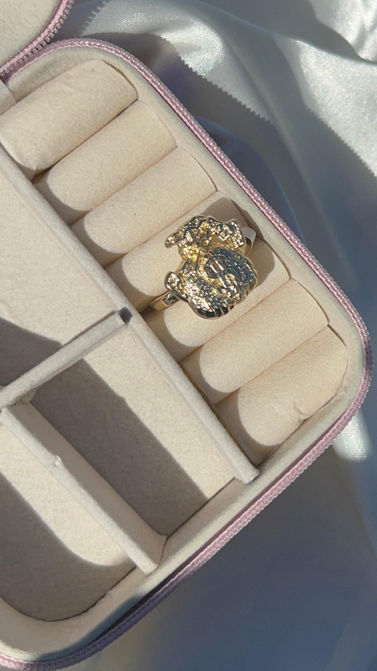 Money bag ring